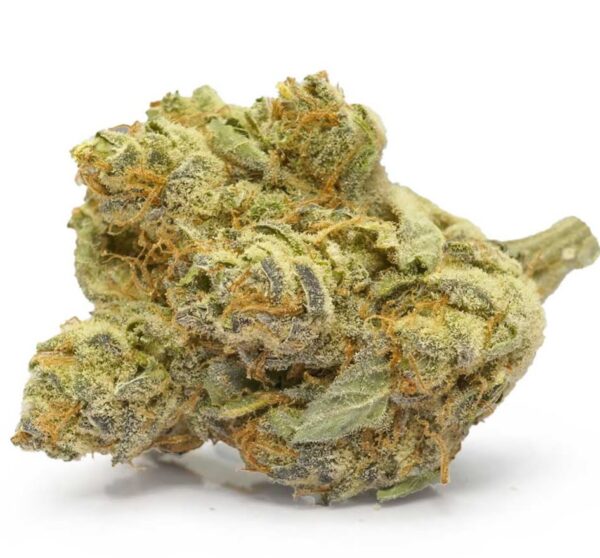 Orange Creamsicle