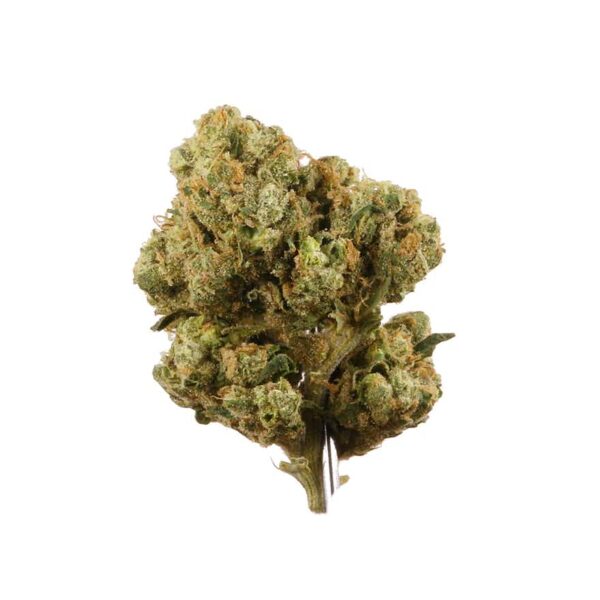 SOUR DIESEL Marijuana Strain