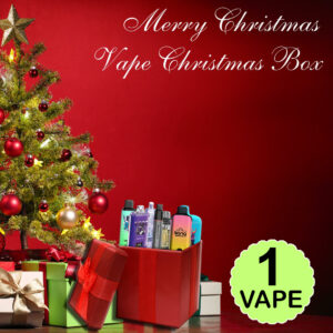 1x Disposable Vape Christmas Gift Box