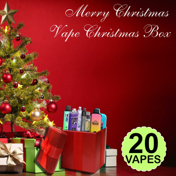 20x Disposable Vape Christmas Gift Box